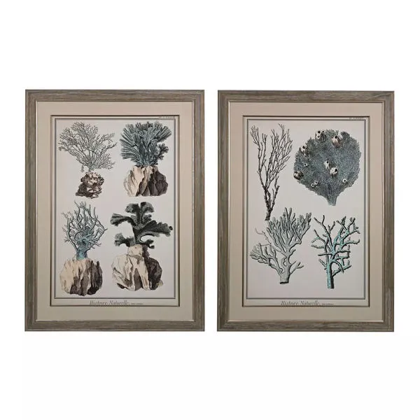Product Image 1 for Oversized Coral Species I, Ii   Fine Art Giclee Under Glass from Elk Home