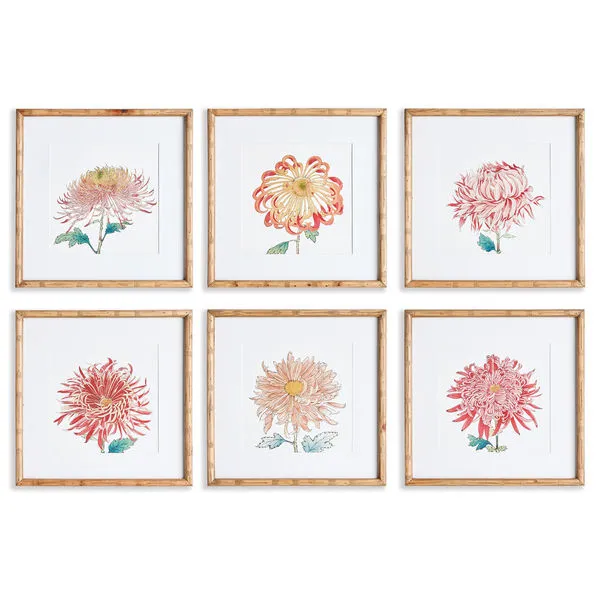 Product Image 1 for Colorful Chrysanthemum Prints, Set of 6 from Napa Home And Garden