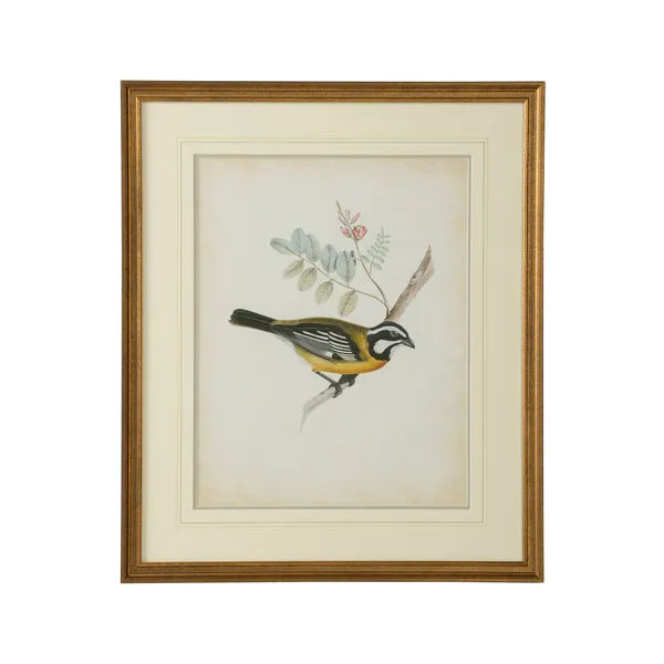 Product Image 1 for Delicate Birds V Artwork from Chelsea House