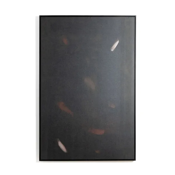 Product Image 1 for Koi Pond Framed Photograph by Jess Engle from Four Hands