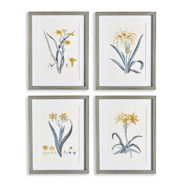 Product Image 1 for Daffodil Wall Art Framed Prints, Set of 4 from Napa Home And Garden