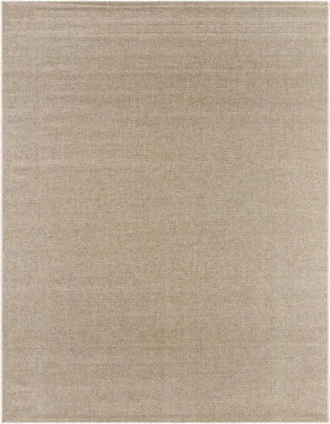 Beige machine woven area rug with a flat, no-pile texture and subtle natural fiber look