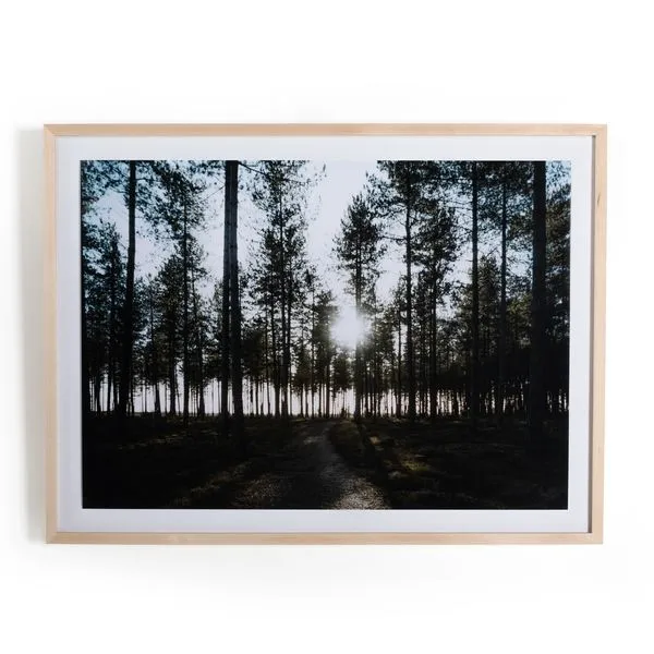 Product Image 3 for Dibden Enclosure By Annie Spratt from Four Hands