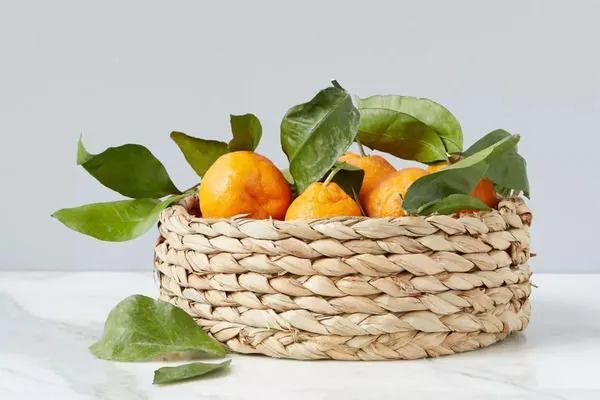 Product Image 2 for Rush Round Bread Basket from etΓΊHOME