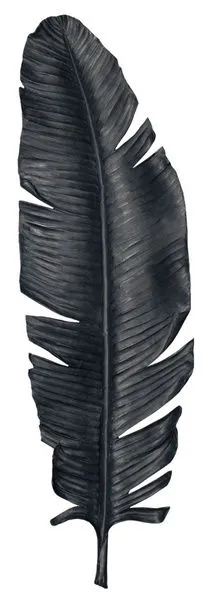 Product Image 2 for Large Feather Object from Jamie Young