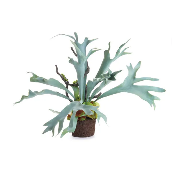 Free-standing Staghorn faux fern with broad, pale green, antler-shaped leaves emerging from a rounded brown base