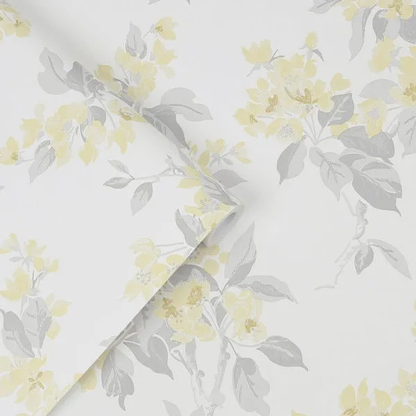 Product Image 1 for Laura Ashley Apple Blossom Sunshine Floral Wallpaper from Graham & Brown