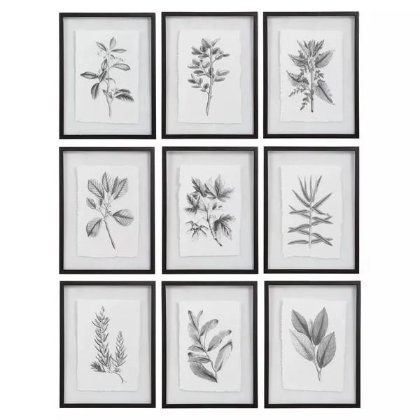 Product Image 7 for Farmhouse Florals Framed Prints, S/9 from Uttermost