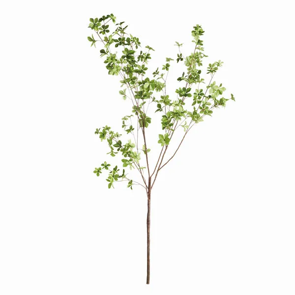 Product Image 1 for Shady Lady Black Olive Branches , Set Of 2 from Napa Home And Garden