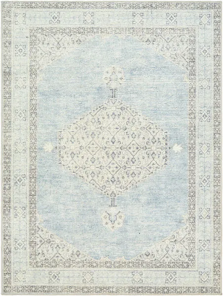 Lila Denim Seafoam vintage style machine woven rug with a large central medallion and detailed borders in soft blue and se...