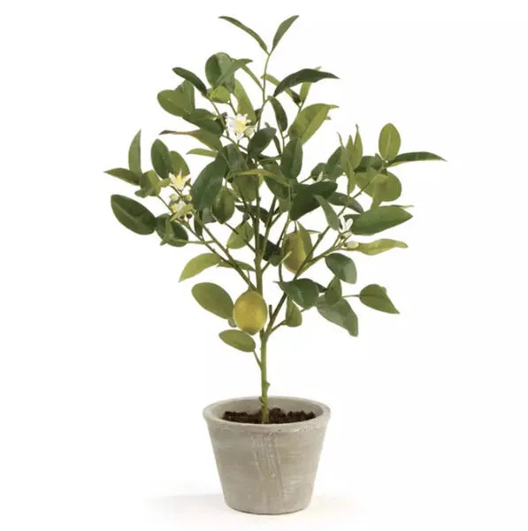 Product Image 2 for Lemon Topiary Potted 24" (Set of 2) from Napa Home And Garden
