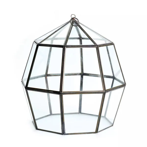 Product Image 1 for Alexa Geometric Cloche from Napa Home And Garden