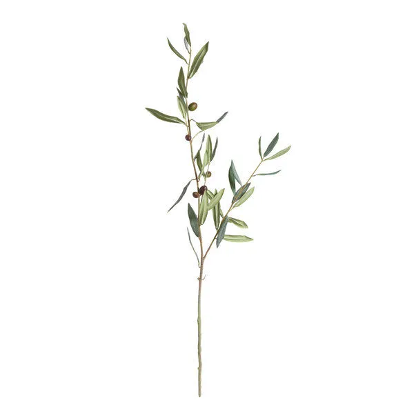 Product Image 1 for Olive Stems With Olives , Set Of 4 from Napa Home And Garden