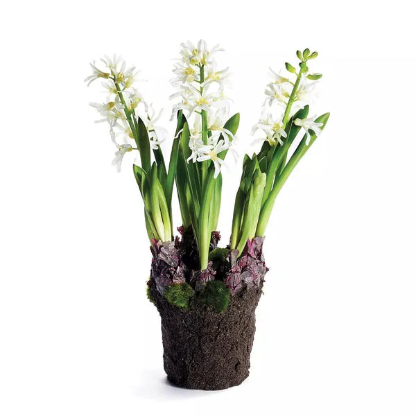 Product Image 1 for Hyacinth Drop In 16.5" from Napa Home And Garden