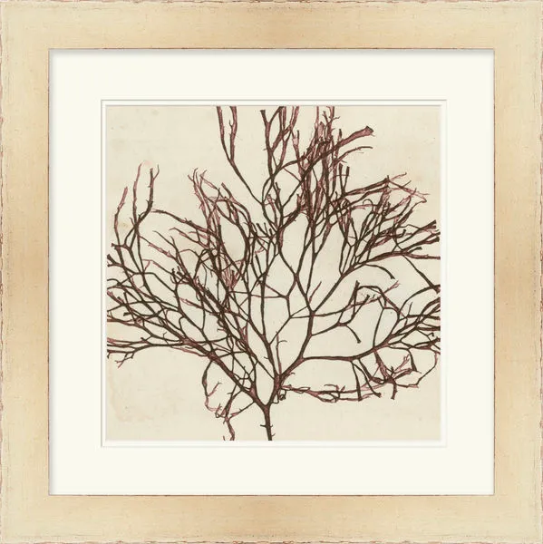 Product Image 1 for Brilliant Seaweed Ii from Surya