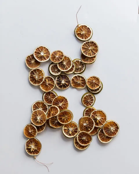 Product Image 6 for Gabriel 84" Dried Orange Slice Garland from Kalalou