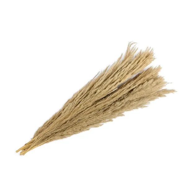 Product Image 1 for Long Natural Everlasting Dried Plants Bunch from BIDKHome