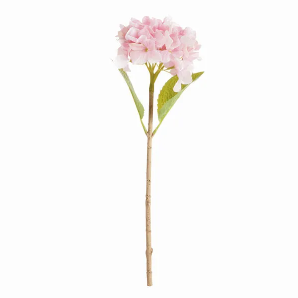 Product Image 1 for Hydrangea Stems , Set Of 6 from Napa Home And Garden