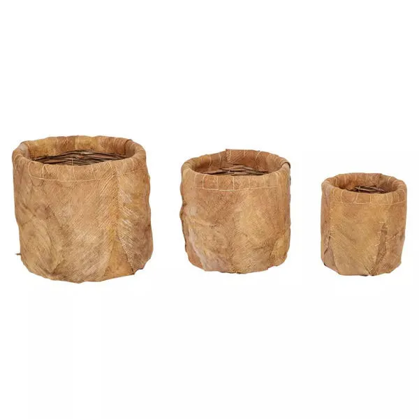 Product Image 8 for Leo Coca Leaf Baskets (Set Of 3 Sizes) from Creative Co-Op