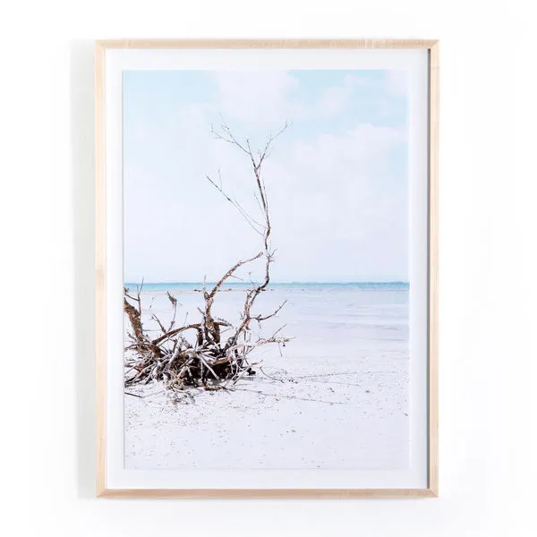 Product Image 4 for Drifting By Kara Buse from Four Hands