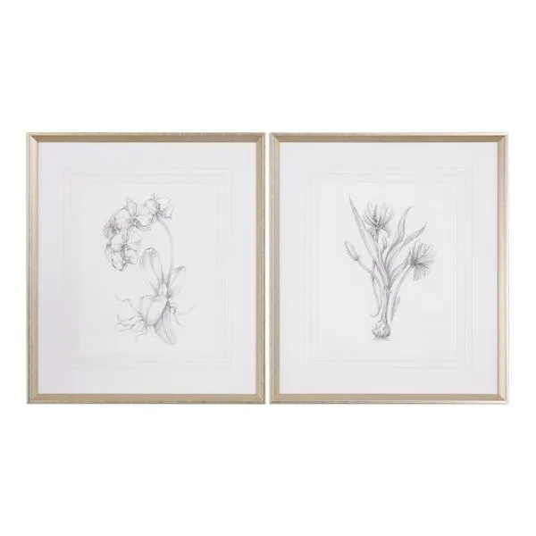 Product Image 2 for Uttermost Botanical Sketches Framed Prints S/2 from Uttermost