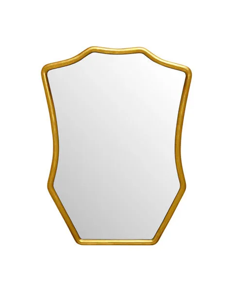 Product Image 1 for Aegis Gold Mirror from Currey & Company