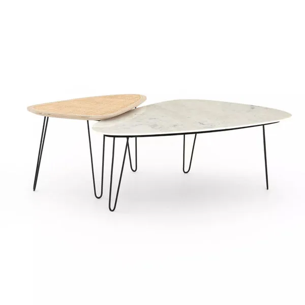 Product Image 15 for Warrington Nesting Coffee Table from Four Hands