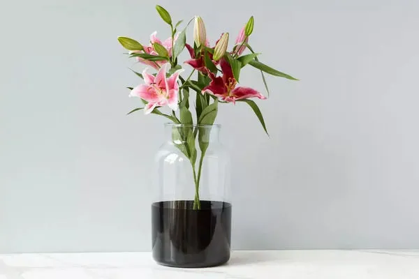 Product Image 2 for Black Colorblock Mason Jar from etúHOME