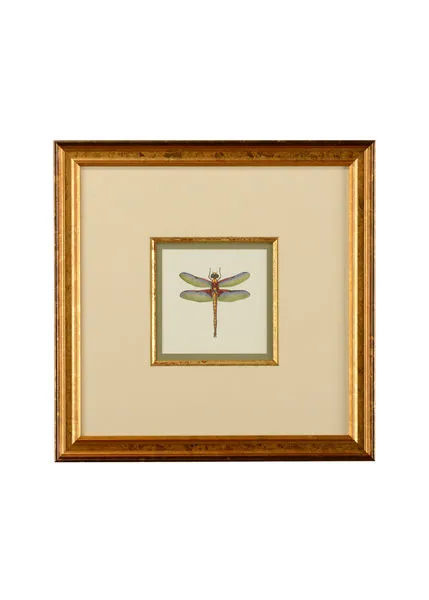 Product Image 1 for Miniature Dragonfly IV Artwork from Chelsea House