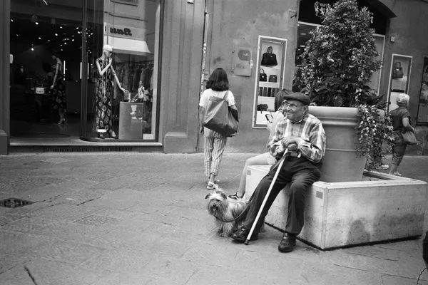 Product Image 1 for A Quiet Moment In Bologna Art from Simply Framed