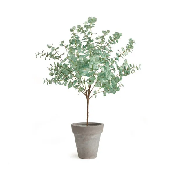 Product Image 4 for Faux Eucalyptus Tree Drop-In, 49" from Napa Home And Garden