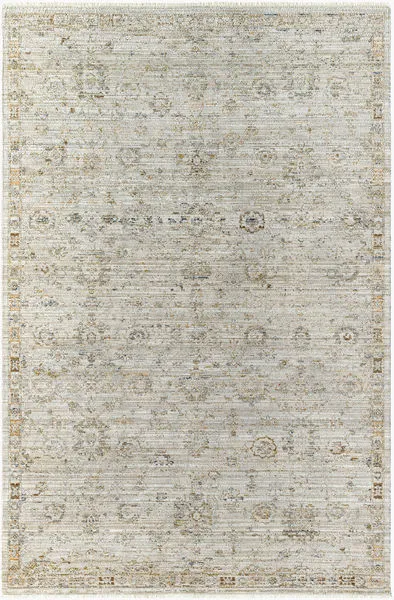 Traditional machine woven rug in taupe and charcoal with subtle floral motifs and a distressed border
