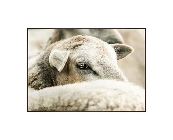 Product Image 1 for Sheepish Framed Artwork from Scout & Nimble