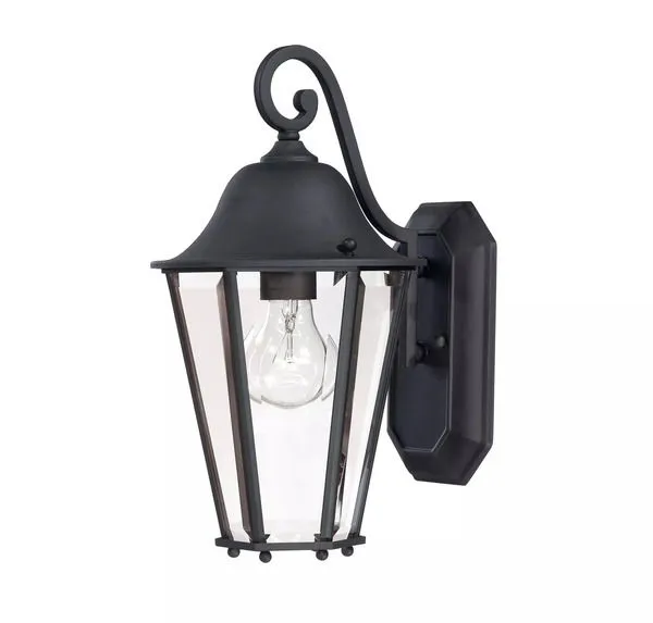 Product Image 1 for Truscott 1 Light Wall Lantern from Savoy House 