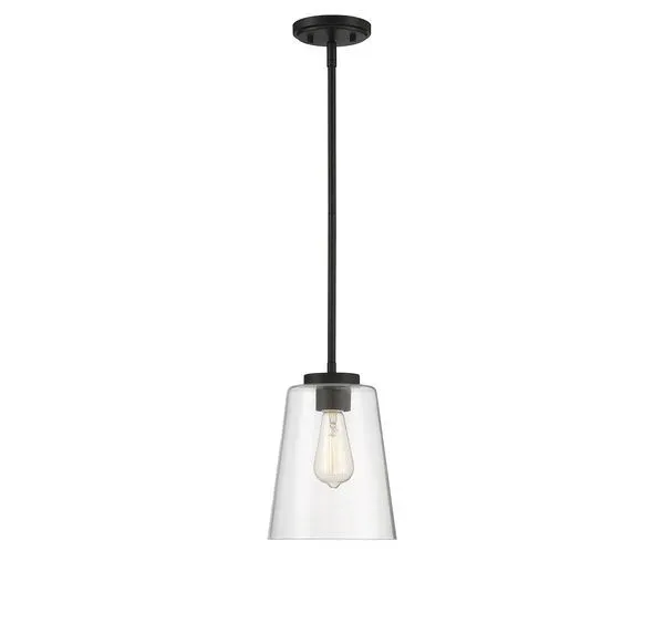 Large mini pendant with clear glass shade and matte black fixture, adjustable cord hanging from black ceiling mount