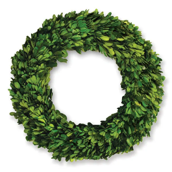 Product Image 1 for Boxwood Wreath from Napa Home And Garden