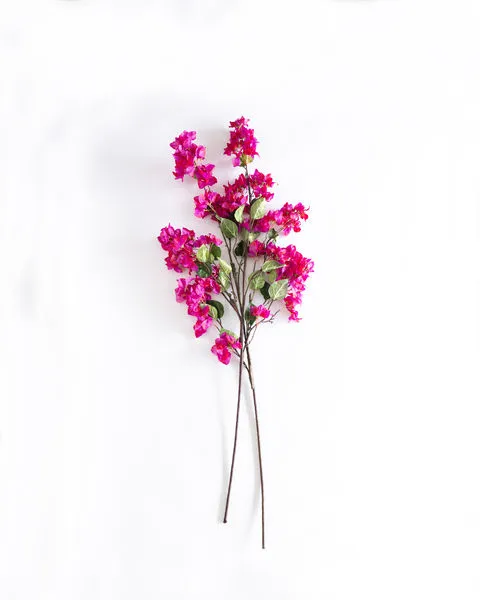 Product Image 7 for Agnes Bougainvillea Stems - 54", Bundle of 2 from Napa Home And Garden