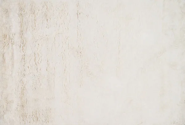 Product Image 2 for Mason Shag Ivory Rug from Loloi